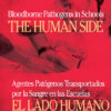 Bloodborne Pathogens In Schools: The Human Side - DVD