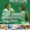 Bloodborne Pathogens Refresher For Schools - DVD