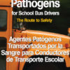 Bloodborne Pathogens For School Bus Drivers: The Route To Safety - DVD